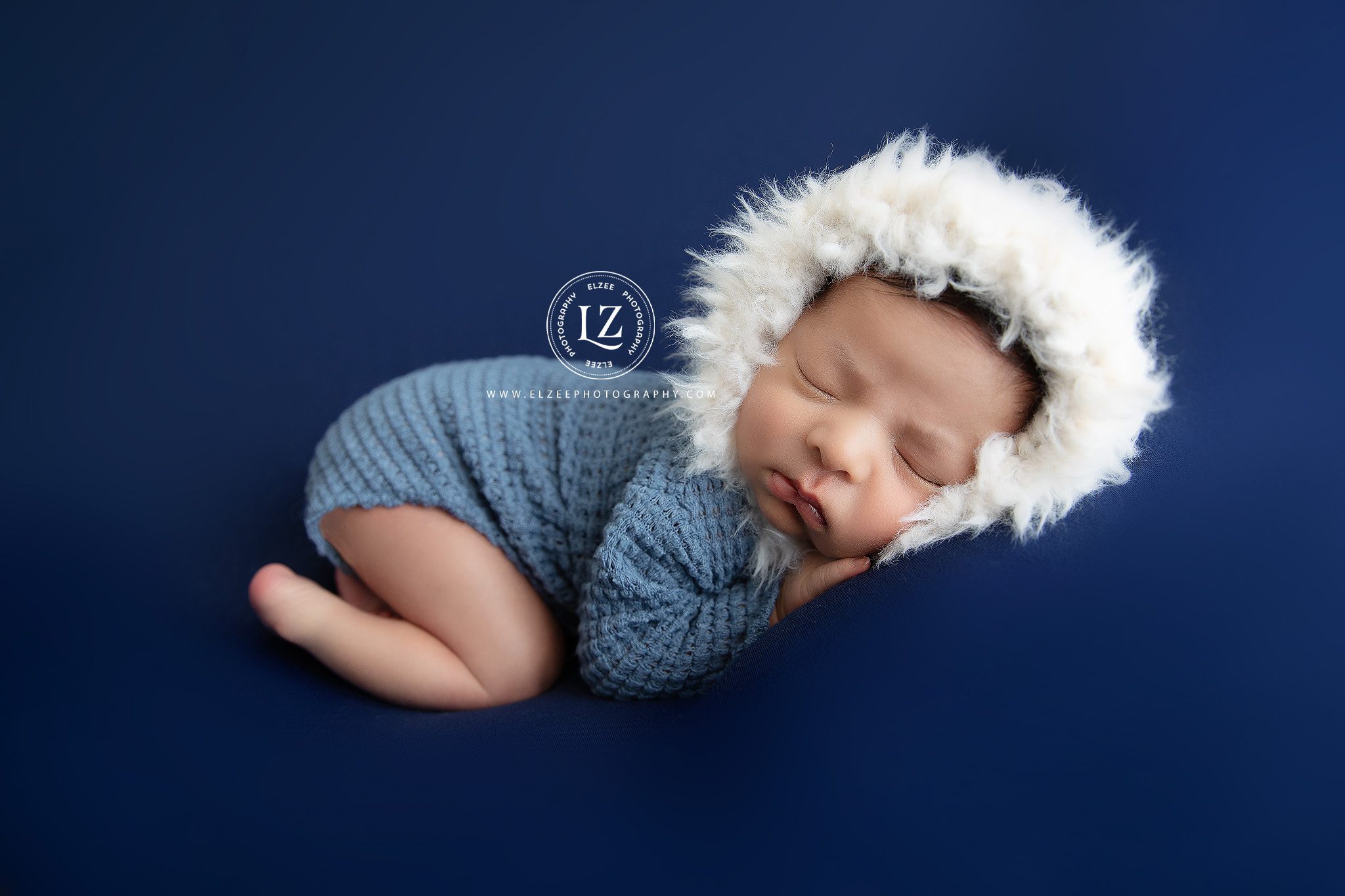 Apex newborn photography