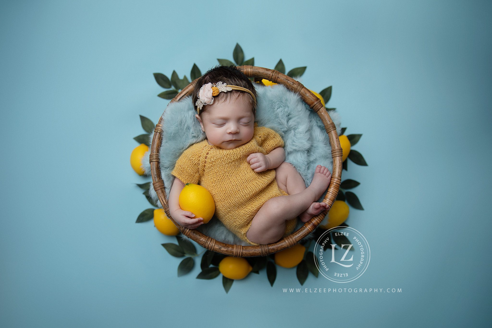 Raleigh newborn photographer
